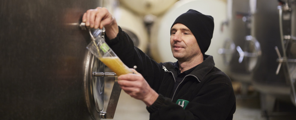 Bild zeigt Brauer, der ein Bier vom Tank zur Qualitätskontrolle zapft.